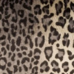 Safavieh Faux Black Leopard Down Alternative Standard Throw Pillow -Tool Discount Store safavieh throw pillows pls722a 2020 c3 1000